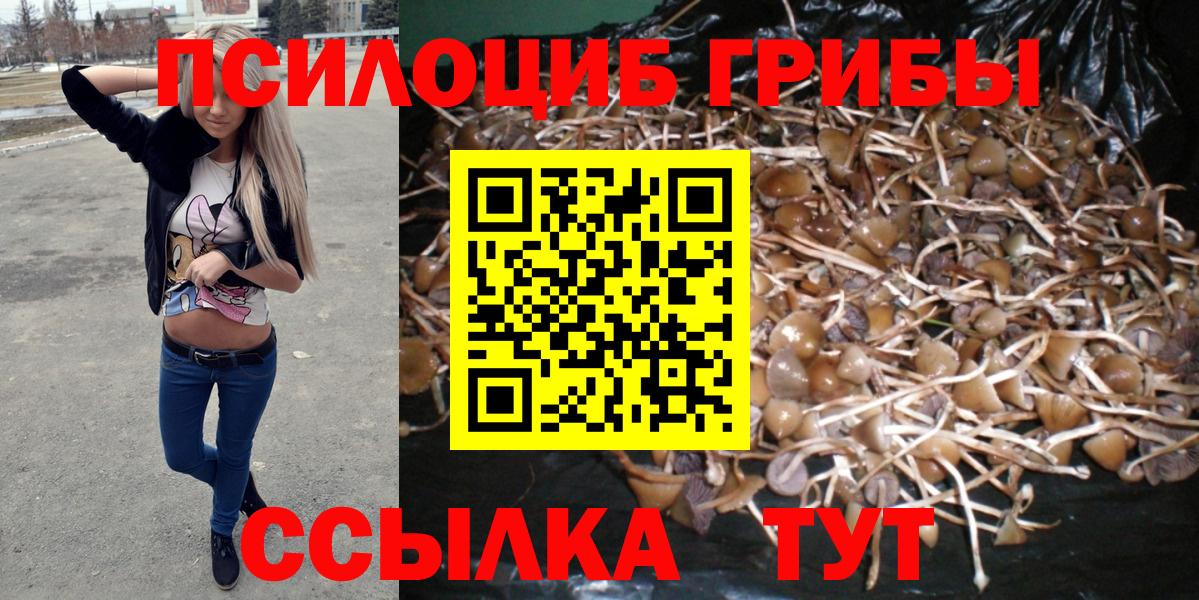 Галлюциногенные грибы Cubensis  Вход с VPN  Галлюциногенные грибы GOLDEN TEACHER  Нижнекамск 